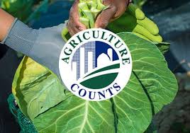 The green plants and herbivorous insects are engaged in a constant struggle for dominance. Usda