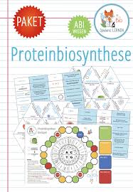 Proteinbiosynthese 6x Aktivitaten Und Spiele Unterrichtsmaterial Im Fach Biologie In 2020 Unterrichtsmaterial Domino Spiele Brettspiele