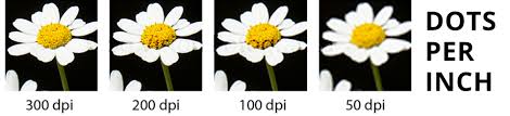 Maybe you would like to learn more about one of these? What Does Dpi Mean Merchandise Essentials