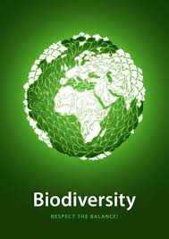 Climate Change Biodiversity Rescues Biodiversity In A Warmer World Poster Design Biodiversity Ecology