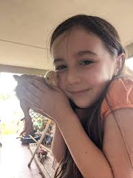 There is a Rottweiler loose