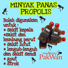 Madu adalah sesuatu yang tidak asing lagi samada di malaysia atau di pasaran antarabangsa. Minyak Propolis Kelulut Shopee Malaysia