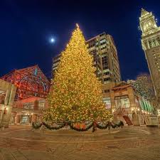Boston Has Been Gifted A Special Christmas Tree For 2018 Christmas Tree Large Christmas Tree Christmas Tree Lighting