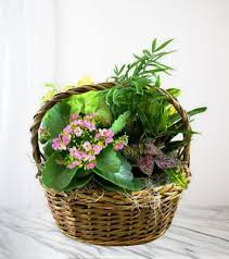 Image result for Marguerite White 1980 Associated Owner Drivers