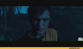 And therefore, so does dumbledore's remember cedric diggory speech. Cedric Vs The Death Star Combined Gifs Know Your Meme