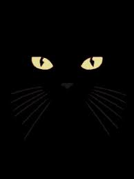 You should seek veterinarian assistance immediately. Cat With Tongue Gifs Tenor