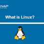 Linux from phoenixnap.com