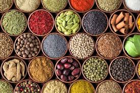 Image result for دنیای بی مزه و بیبو