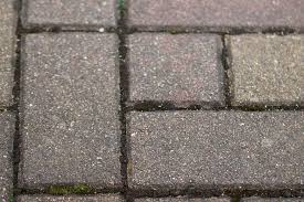 Algen, flechten und moose zeigen sich durch grünlichen belag. Moosentferner 9 Naturliche Hausmittel Zum Entfernen Von Moos