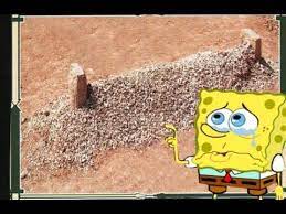 سبونج بوب سكوير بانتس اغنية سبونج بوب سكوير بانتس على mbc3 لون للاطفال youtube sewing