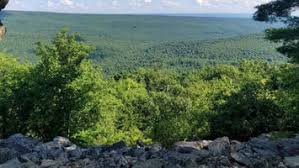 Donna Puga's Race Results