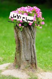 دائما هناك أمل يهمس لنا أ ن في الغيب شيء جميل يستحق الإنتظار صباح الخير صباح الأمل Good Morning Good Night Good Morning Quotes Morning Images