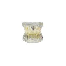 Image result for ochrana chrupu