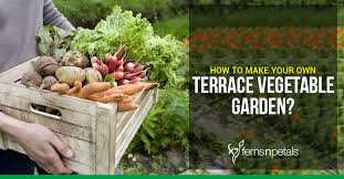 Consider adding a bench or table in the center or close to your kitchen garden. How To Make Your Own Terrace Vegetable Garden Ferns N Petals