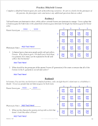 Dihybrid cross worksheet pdf answers. Solved Practice Dihybrid Crosses Complete A Dihybrid Pun Chegg Com