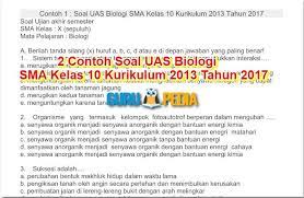 Kunci jawaban soal essay : Contoh Soal Dan Jawaban Biologi Kelas X Semester 1 Peranti Guru