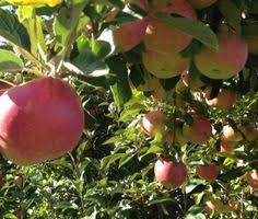 Easy deliveries to your doorstep! 9 Places To Visit Ideas Places To Visit Archbold Liberty Center