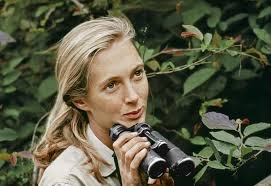 Jane Goodall passes away at 91