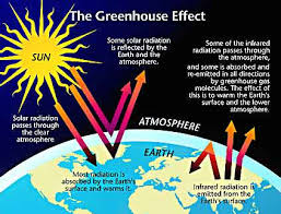 Image result for global warming photos