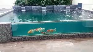 5 kolam ikan dalam rumah. 7 Desain Kolam Koi Kaca Terbaik Terindah Youtube