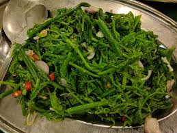 Tumbuhan paku atau yang biasa disebut dengan tumbuhan pakis tersebut termasuk ke dalam tumbuhan berkormus atau kormophyta, yaitu jenis tumbuhan yang memiliki akar, batang, dan daun sejati. Paku Pakis Salad Picture Of Muhibbah Seafood Restaurant Petaling Jaya Tripadvisor