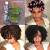 Professional Perm Products