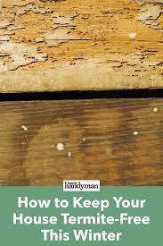 Diy Termite Control 13 Must Know Tips For Diy Termite Control Termites Termite Control Termite Repellent