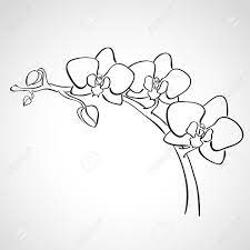 27321478 Sketch Orchid Branch Hand Drawn Ink Style Stock Vector Drawing Orchid Flower Jpg 1 300 1 300 Pixels Orchid Drawing Flower Line Drawings Flower Drawing