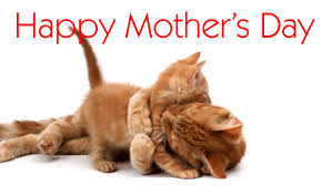 I thank our kids for keeping you busy so that i could have some me a very happy mother's day dearest friend. funny mothers day messages for sister. Funny Mothers Day Quotes 2021 Happy Mother S Day Wishes