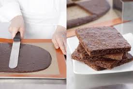 Recette De Biscuit Sacher Facile Et Rapide Recette Recette Biscuit Biscuits Recette