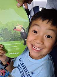 Maybe you would like to learn more about one of these? Malaysian Airlines Kota Kinabalu To Lahad Datu Toucan Takes Off