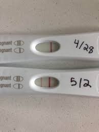 I M Shaking First Frer I Was 3 Days Late And Bfn So I Was Sure I Was Not Pregnant I Still Can T Believe Its A Bfp Today Approx 1 Week Late