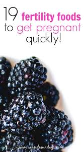 Fertility Super Foods To Help You Get Pregnant Foods To Get Pregnant Fertility Foods Fertility Diet Plan