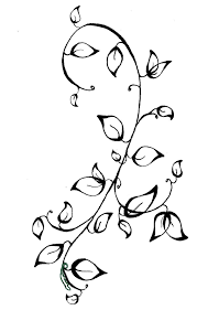 Black And White Vines Simple Vine Tattoo Black And White Google Search Vine Drawing Vine Tattoos Flower Vine Tattoos