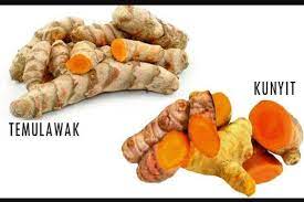 Maybe you would like to learn more about one of these? Sering Keliru Inilah 5 Perbedaan Kunyit Dan Temulawak Yang Mudah Dikenali Mantra Sukabumi