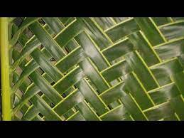 Daun kelapa bisa dimanfaatkan sebagai atap rumah, anyaman dan sebagai alternatif pakan ternak, sedang batang daun juga bisa dijadikan sapu lidi. 75 Idees De Cocotier Cocotier Feuille Palmier Tressage