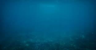 Young noisy grunge pop (vegan doom). Beunruhigender Fund Im Marianengraben Alarmiert Wissenschaftler