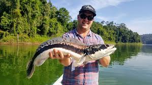 Joel Troy And Phil Royal Belum Fishing Adventure Fishyology Fishing Adventure Adventure Fish