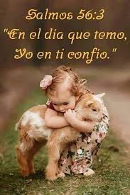 Citas Versiculos Biblia Dios Cristo Oracion Fe Frases Pensamientos Versiculosdelabiblia En 2020 Versiculos Biblicos Pensamientos Biblicos El Amor Biblia