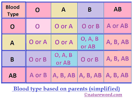 Surprising Blood Type Charts Determine Blood Type From