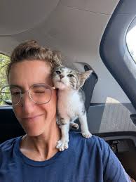 Someone is demanding attention! He'll be 17 in a few months and is slowing  down considerably but still expects his nightly snuggles.