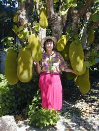 The current world record holder for heaviest fruit is a pumpkin that weighed 2,624.6 lb (1,190.5 kg), which was grown by mathias willemijns. Pin On Food To Try