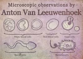 Microscopic Observations By Anton Van Leeuwenhoek By Taszyn Bailey Via Behance Anton Van Microscopic Teaching Science