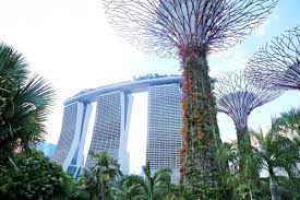 Discover the top tourist attractions and things to do. The Best Places To Visit In Singapore In 3 Days And Sights You Re Better Off Skipping Yoga Wine Travel