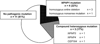 Being a thorough and methodical genetic counselor, you obtain a family history of the disorder, and construct a pedigree (shown below, with affected individuals shaded; Genetic Background And Clinicopathologic Features Of Adult Onset Nephronophthisis Kidney International Reports