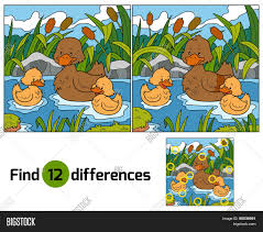 Maybe you would like to learn more about one of these? Find Differences Vector Photo Free Trial Bigstock