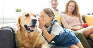 Erfahrene hundetrainer sind auf ihrer seite! Kind Und Hund Was Du Wissen Musst 4pfoten On Tour Hundetraining Hundeschule Baunatal Kassel Online