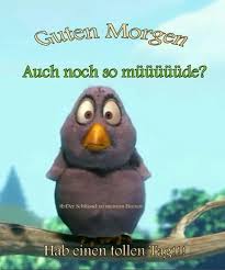 Spruch Schoner Tag Guten Morgen Guten Morgen Lustig Lustige Guten Morgen Bilder