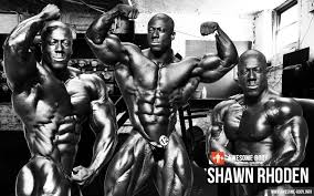 Tons of awesome stylish bodybuilding wallpapers with female bodybuilders hd collection from 2010 to 2018 series for free download. Bodybuilder Hd Wallpaper Mr Olympia Wallpaper Hd 1920x1200 Wallpaper Teahub Io