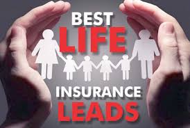 Check spelling or type a new query. Generate Life Insurance Leads Via Ads Campaign By Danemax Fiverr
